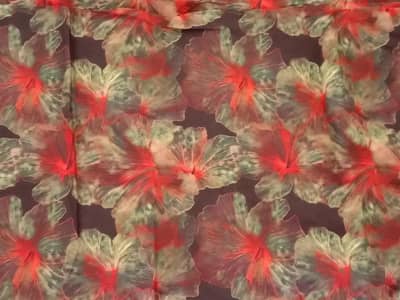 2 piece lawn suit.