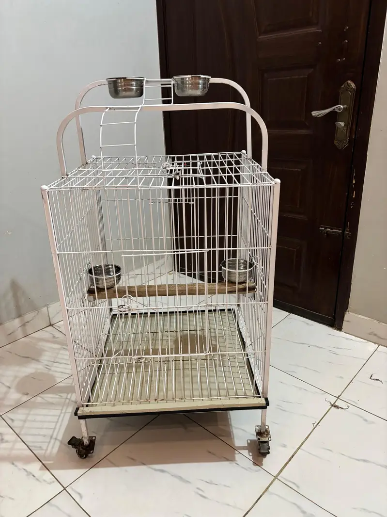 cage in a very beautiful design