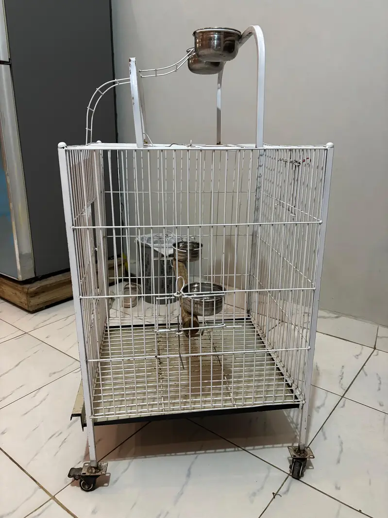 cage in a very beautiful design — photo 2