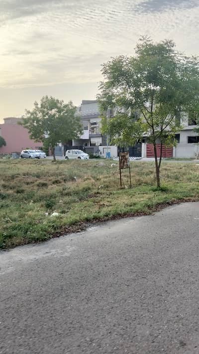 Clear Plot Best Location For Sale