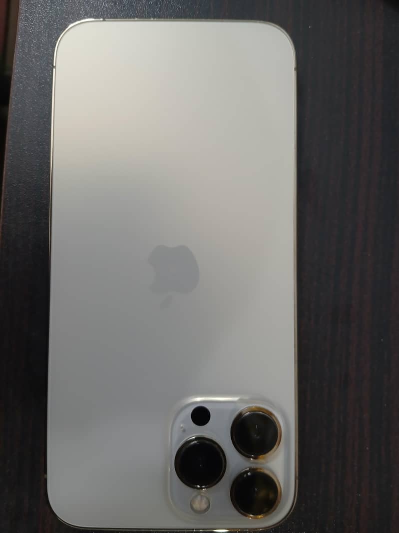 Apple iPhone 13 Pro Max 0