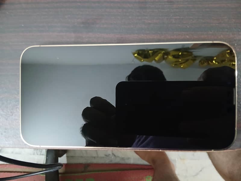 Apple iPhone 13 Pro Max 1