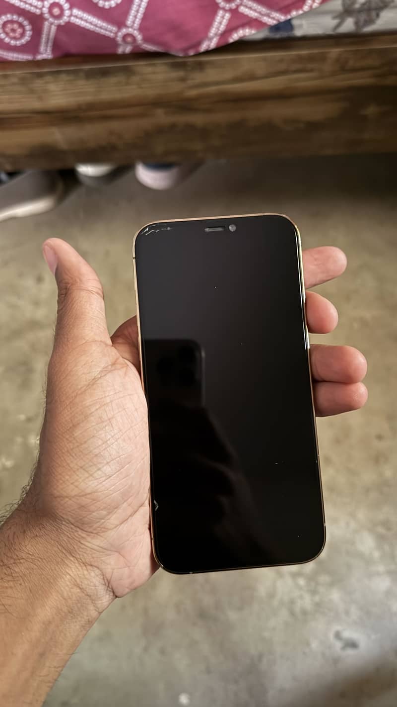 Apple iPhone 12 Pro 1