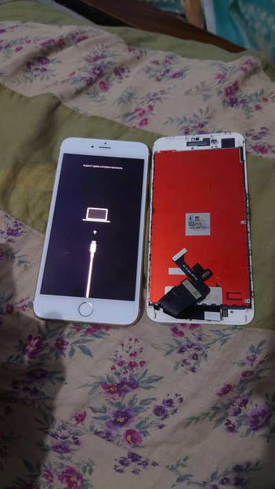 I phone 8plus 03/10/48/42/53/7 Whatsapp