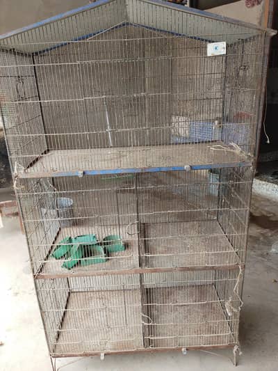 parrot cage