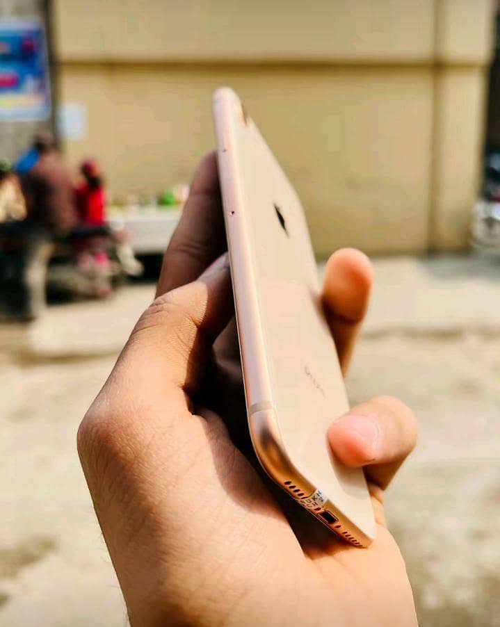 Apple iPhone 7 1