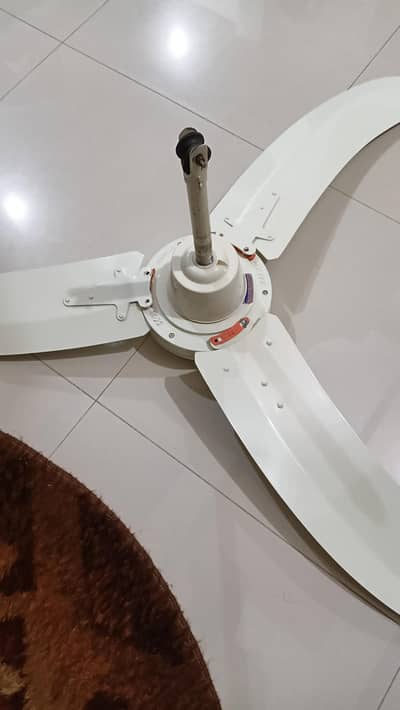 Ceiling fan for sale