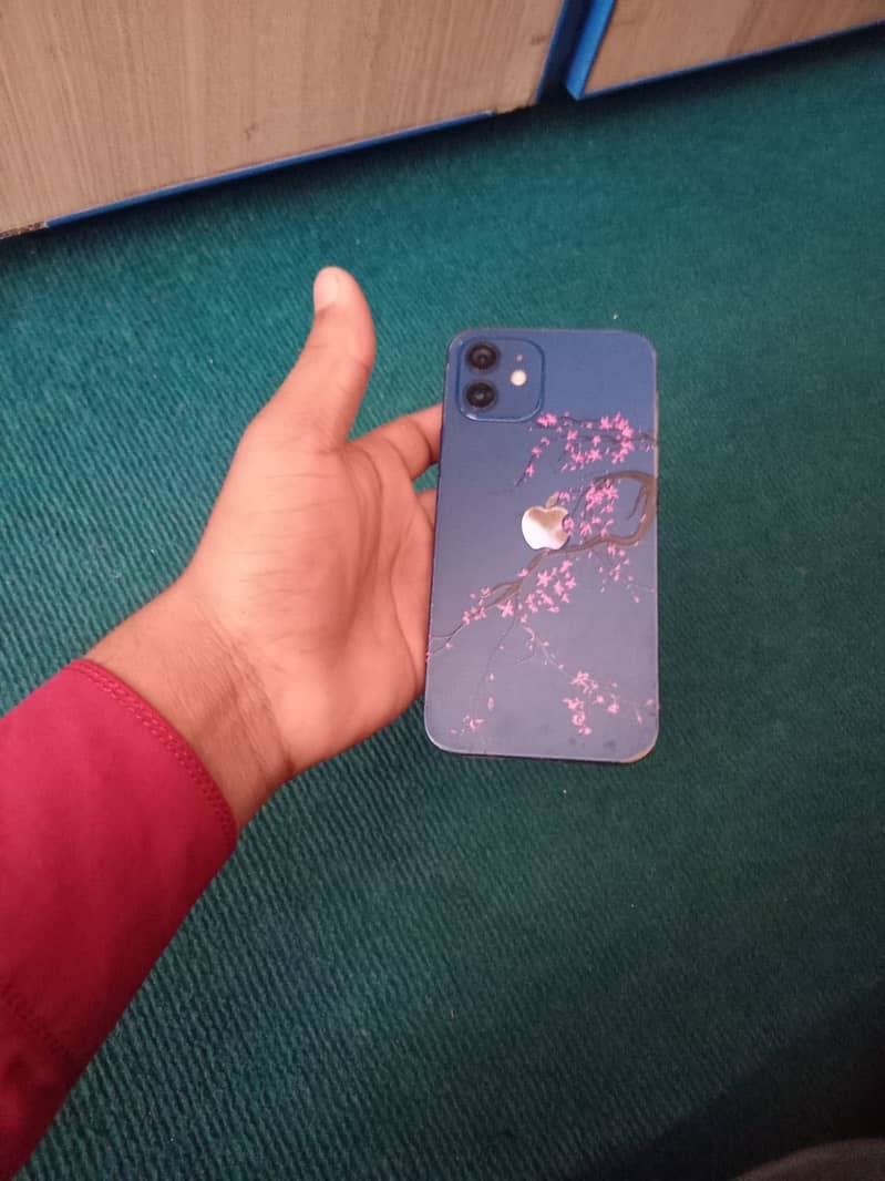 Apple iPhone 12 1