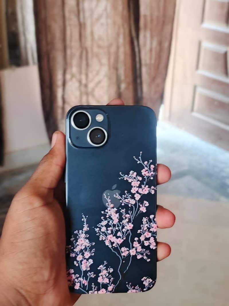 Apple iPhone 13 0