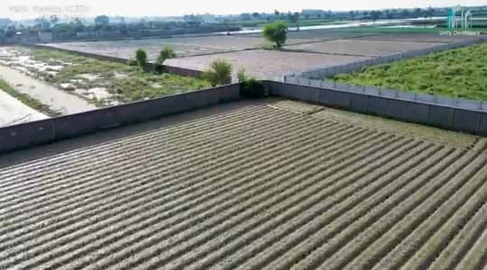 8 KANAL BEAUTIFULL FARMHOUSE PLOT