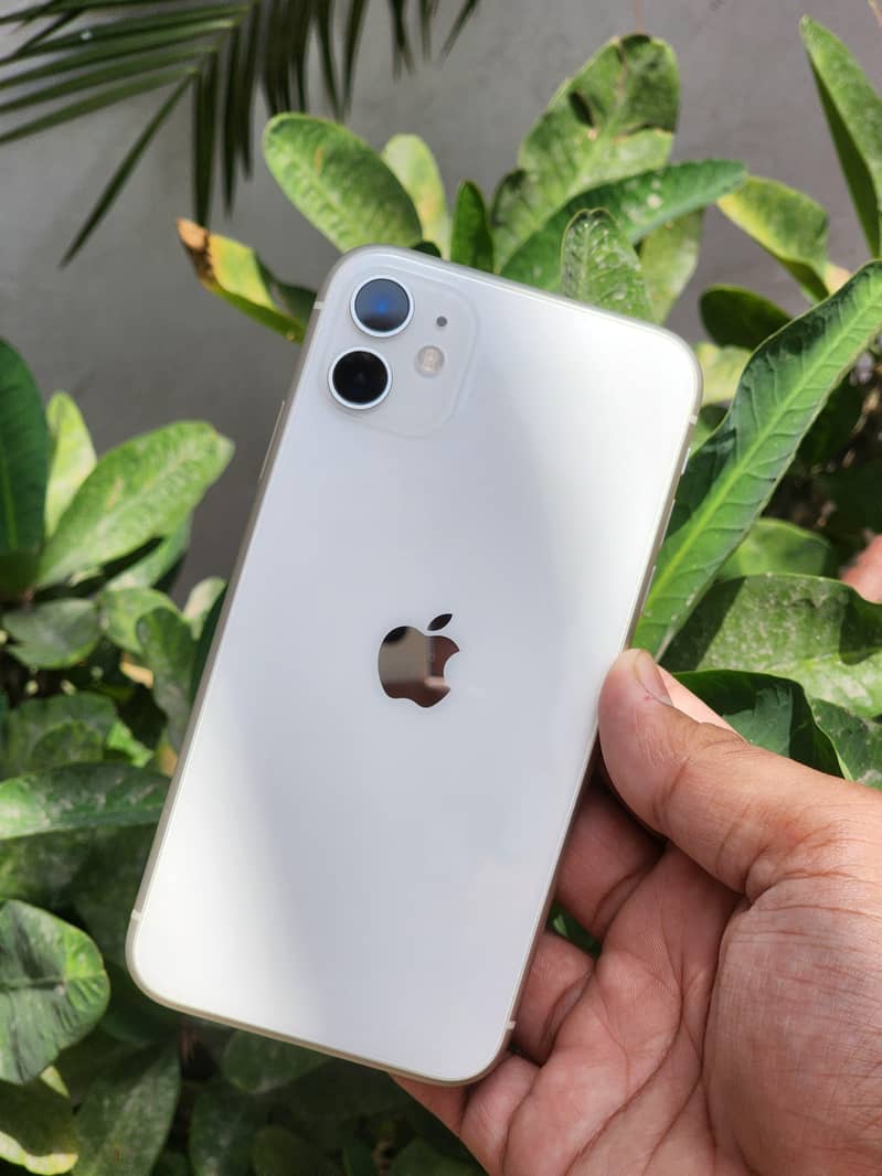 Apple iPhone 11 (Sheesha Piece) 0