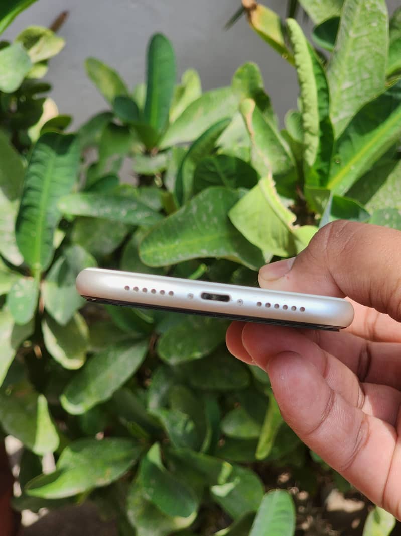 Apple iPhone 11 (Sheesha Piece) 3