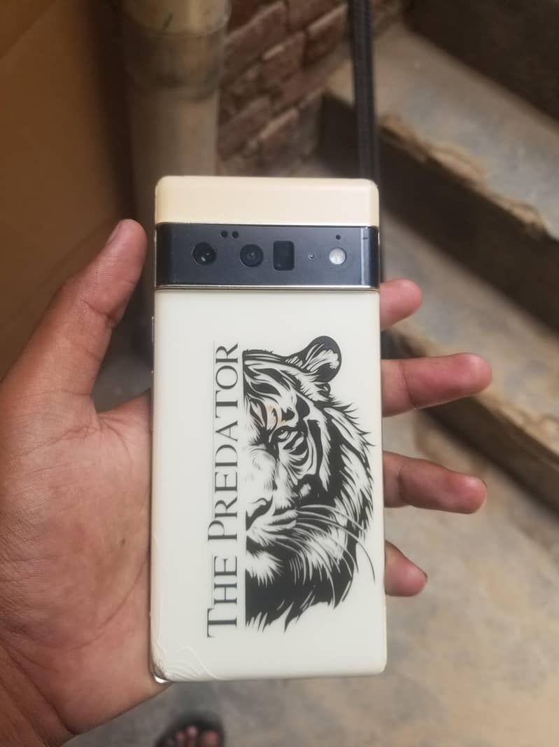Google Pixel 6 Pro 1