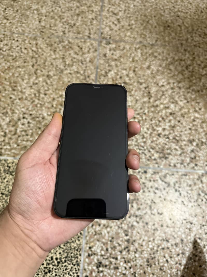 Apple iPhone 12 Pro Max 1