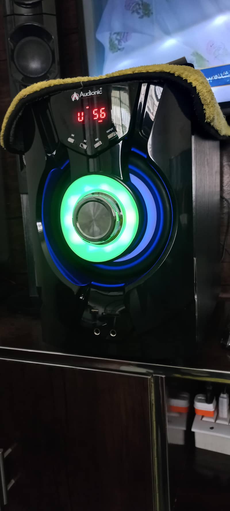Audionic RB110 woofers 1