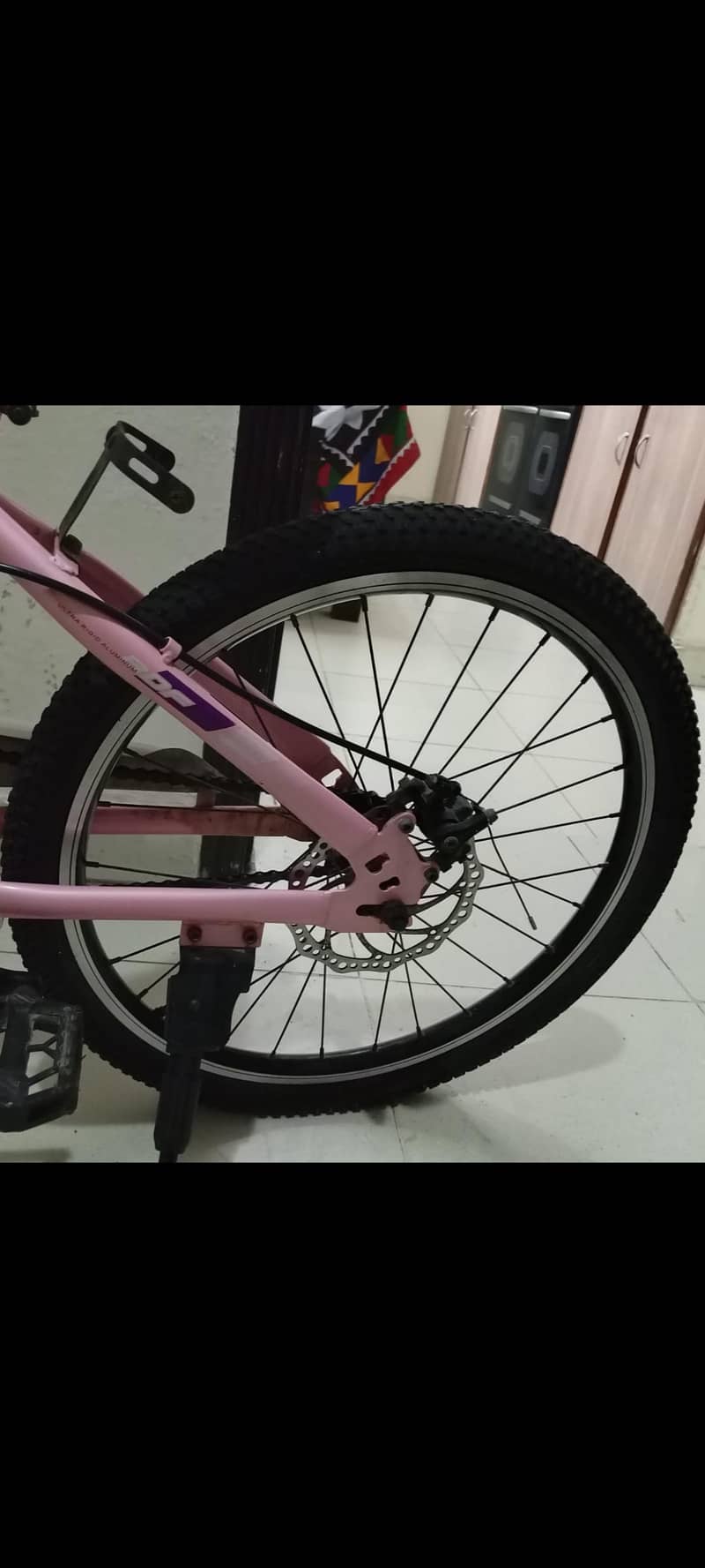 imported bicycles 1