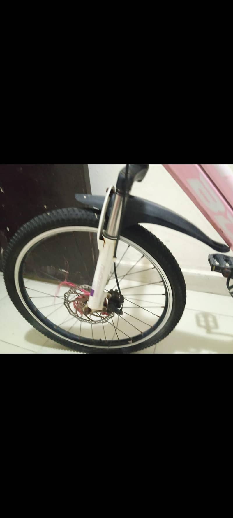imported bicycles 2