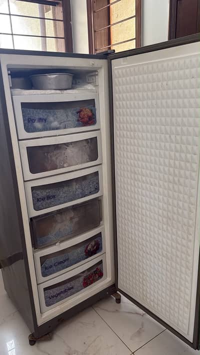 Dalwance freezer