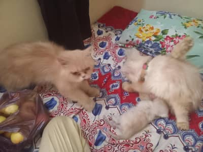 pair ek bacche ke sath