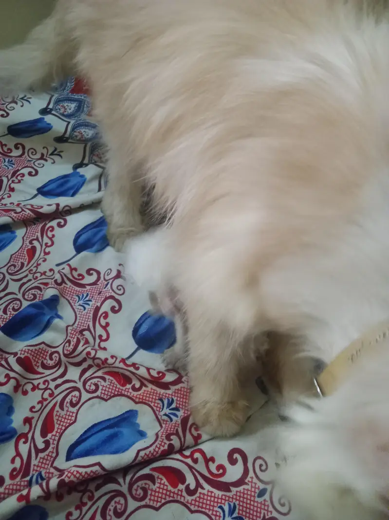 pair ek bacche ke sath — photo 5