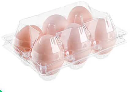 Disposable 6 PCS Egg Tray | Anday Ki Tray | 15 Rs Per Piece |