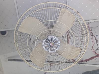 Indus fans