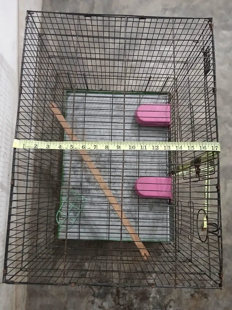 Cage Pinjra — photo 3