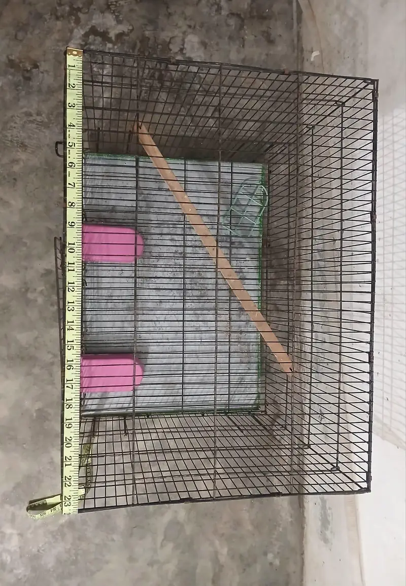 Cage Pinjra — photo 4