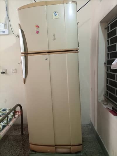 PEL Fridge for sale