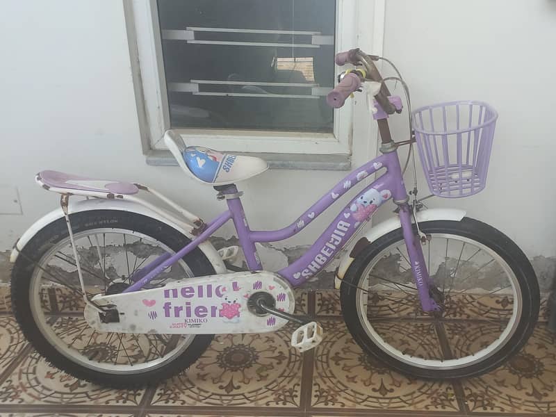 bicycle 0