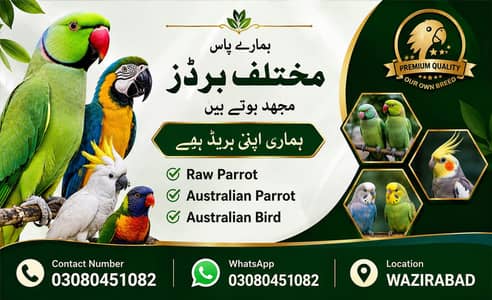 original raw parrot