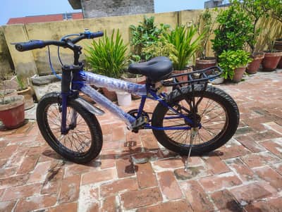Kids 20 Inch Fat Tyre Cycle | Like New | Sport Bicycle | Excellent