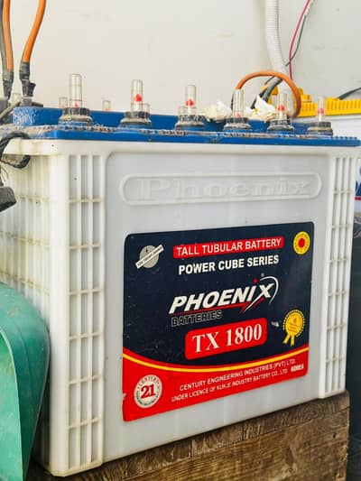 2 Phoenix TX-1800 Tall Tubular Batteries