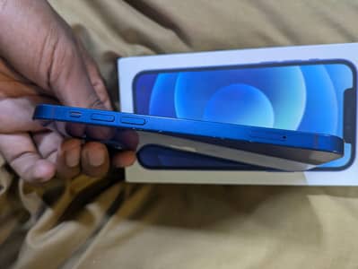 Apple iPhone 12
