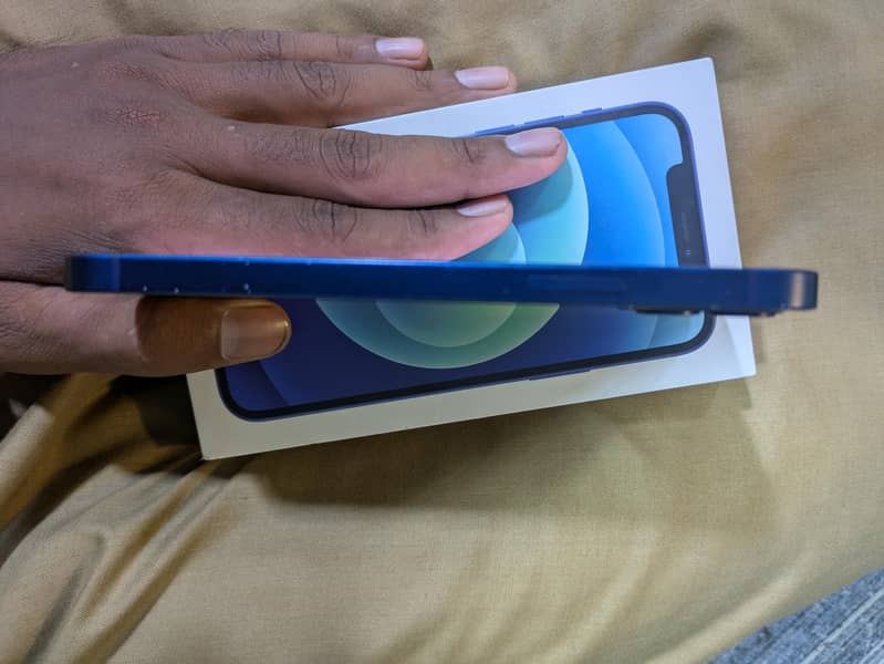 Apple iPhone 12 1