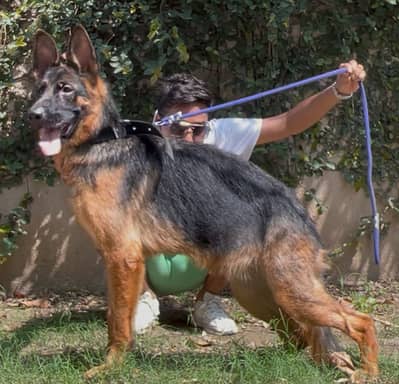 Grand daughter of world champion