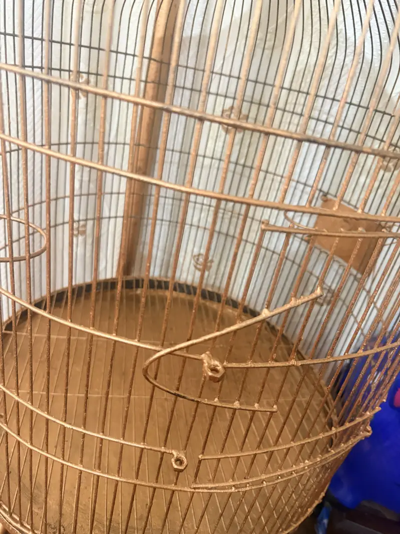 Birds stylish cage for sale in 13000 — photo 2