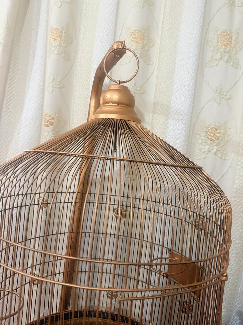 Birds stylish cage for sale in 13000 — photo 3