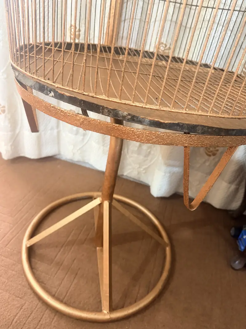 Birds stylish cage for sale in 13000 — photo 4