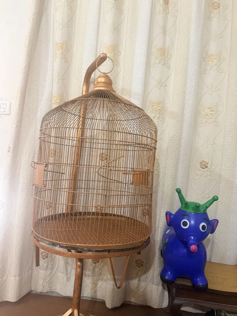 Birds stylish cage for sale in 13000 — photo 5