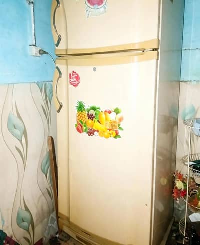 full sized fridge affordable price me