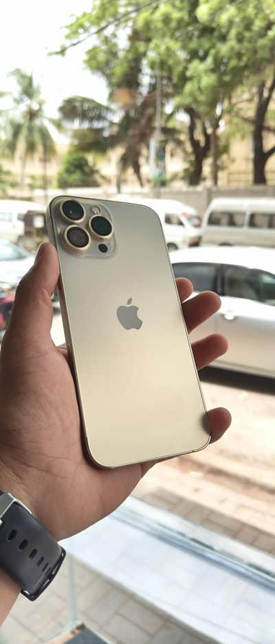 iPhone 13 Pro Max non pta water pack jv