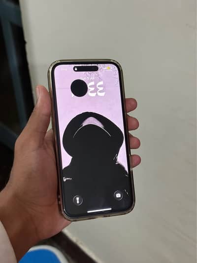 iPhone 14 Pro Max Fix Rate