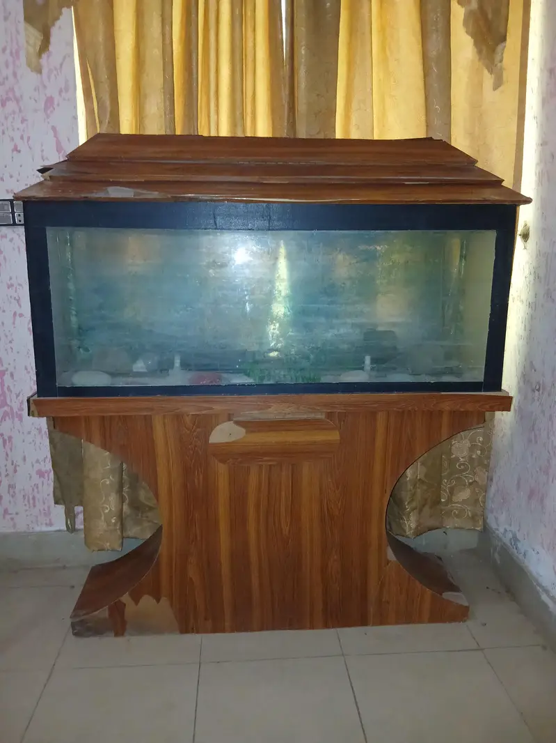 large glass aquarium with wooden cabinet and top cover  Excellent con — photo 2