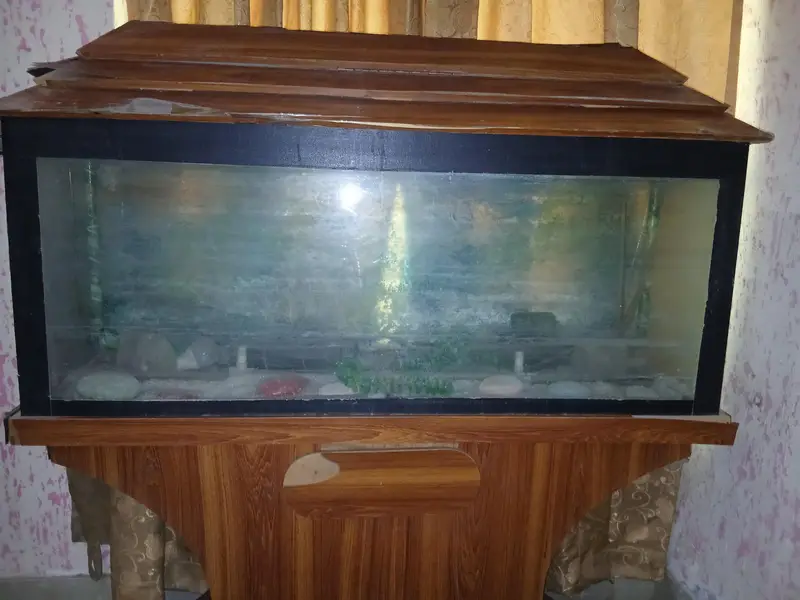 large glass aquarium with wooden cabinet and top cover  Excellent con — photo 3
