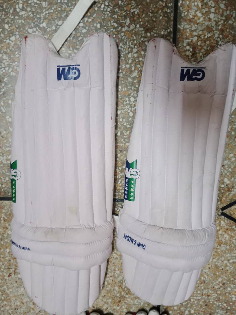 cricket kit 3