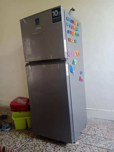 10/10 refrigerator 12 years warnty