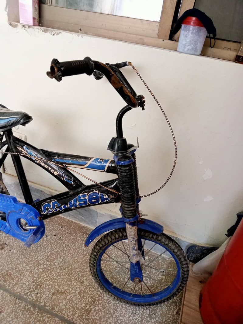 children cycle 2