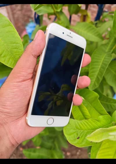 ‎I phone 6s pta approved  My Whatsapp number 0324845367" """*EIGHT hai