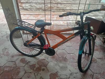 Sports cycle 